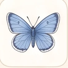 Common Blue butterfly card from the meadow book