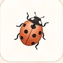 Ladybird card